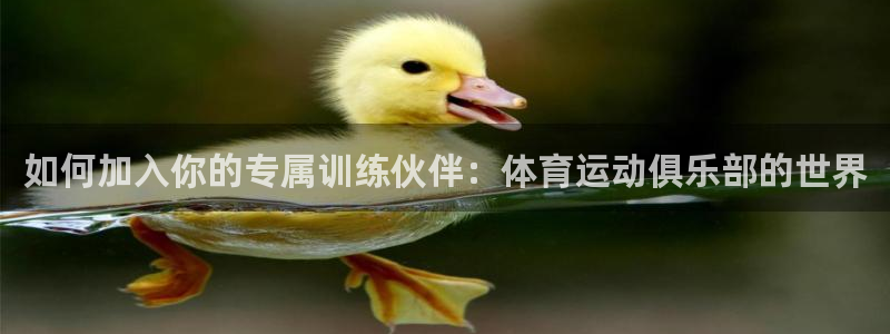 快体育五大联赛：如何加入你的专属训练伙伴：体育运动俱乐部的世界