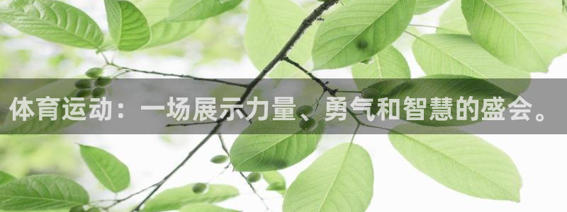快体育下载：体育运动：一场展示力量、勇气和智慧的盛会。