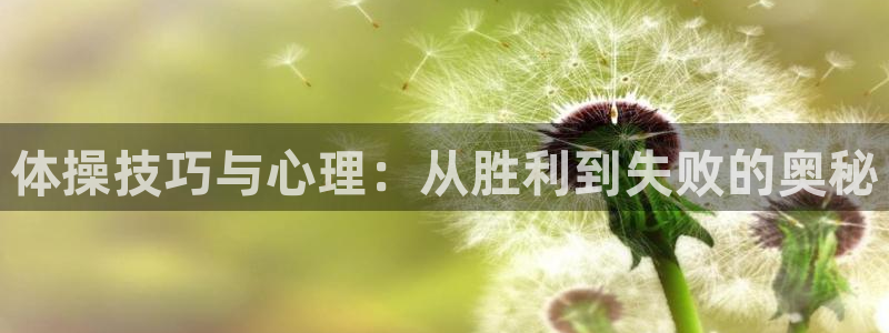 快体育足球篮球五大联赛：体操技巧与心理：从胜利到失败的奥秘