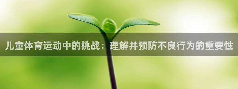 快体育直播免费观看：儿童体育运动中的挑战：理解并预防不良行为的重要性