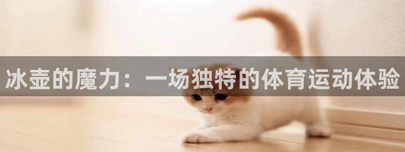快体育足球篮球五大联赛24小时直播：冰壶的魔力：一场独特的体育运动体验