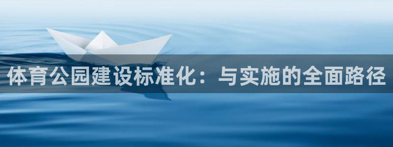 快体育足球篮球：体育公园建设标准化：与实施的全面路径