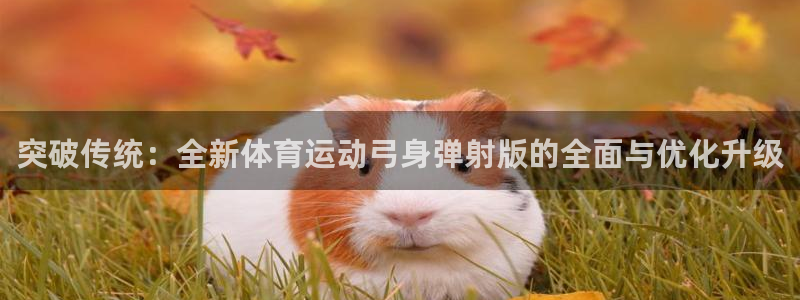 快体育篮球足球：突破传统：全新体育运动弓身弹射版的全面与优化升级