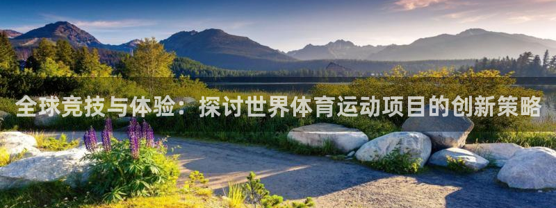 快体育足球篮球：全球竞技与体验：探讨世界体育运动项目的创新策略