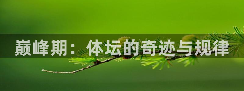 快体育nba：巅峰期：体坛的奇迹与规律
